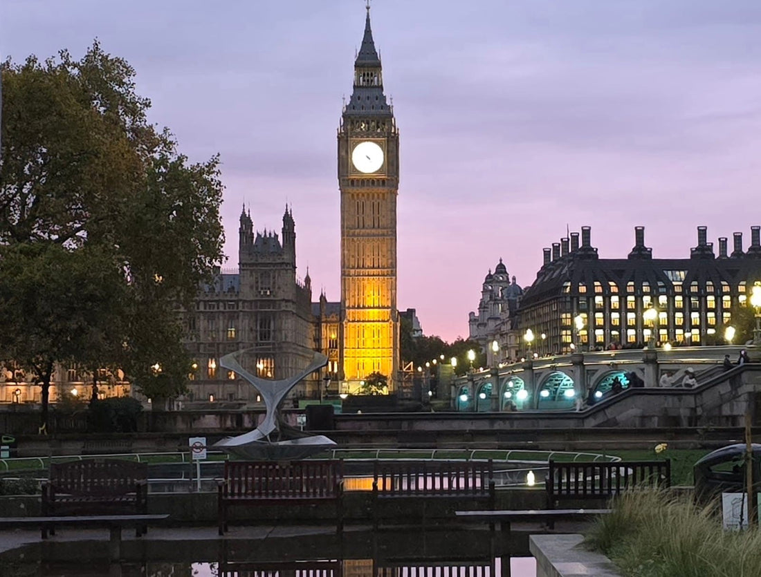 ECSVD News January 2026